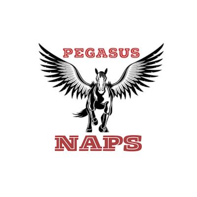 PEGASUS NAPS 